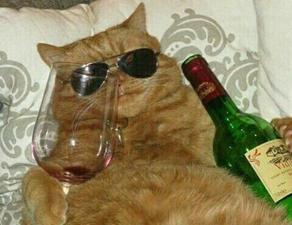 players guide bfncplayer