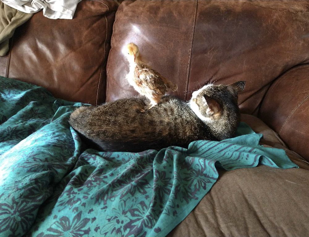 power gaming-daze gaming thehakegeeks gaming tips power gaming-daze gaming thehakegeeks gaming tips