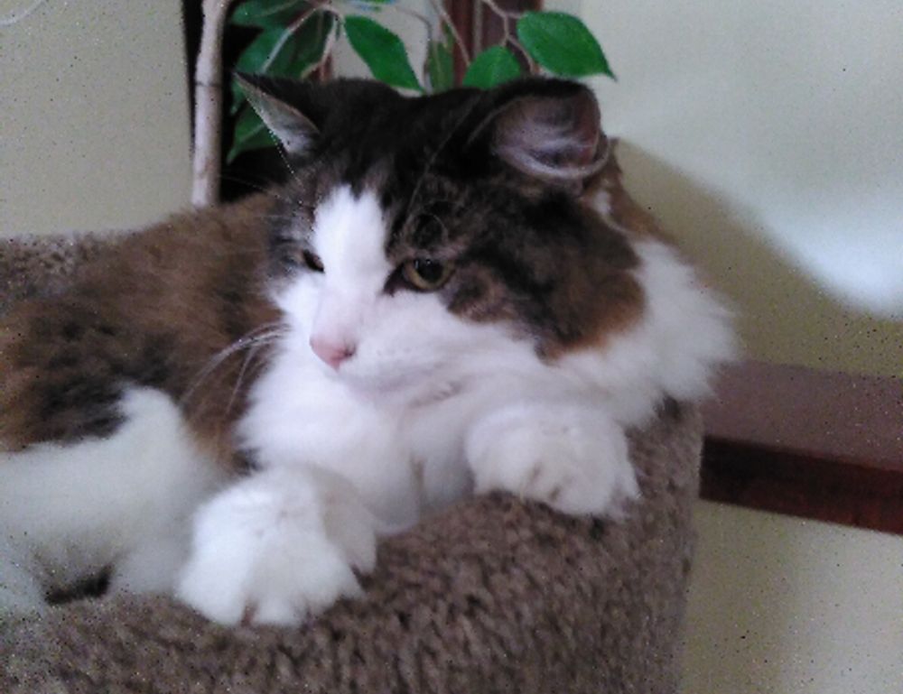 release date etsjavaapp release date etsjavaapp