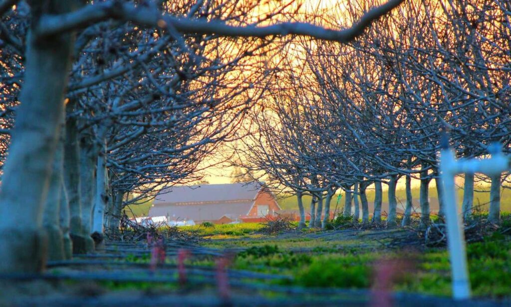 simcookie how to set up scookiepad