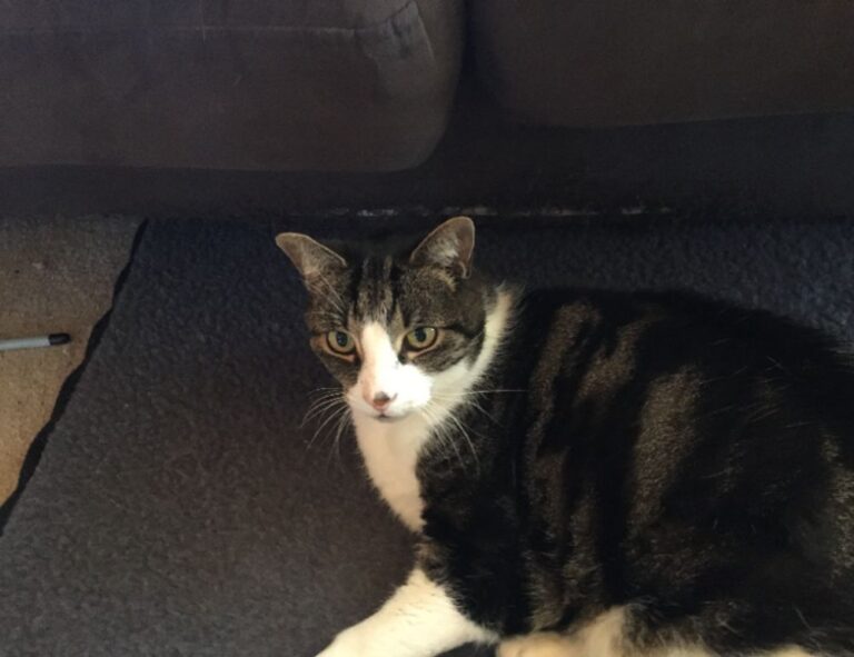 storiesads gaming tgarchirvetech unlock potential