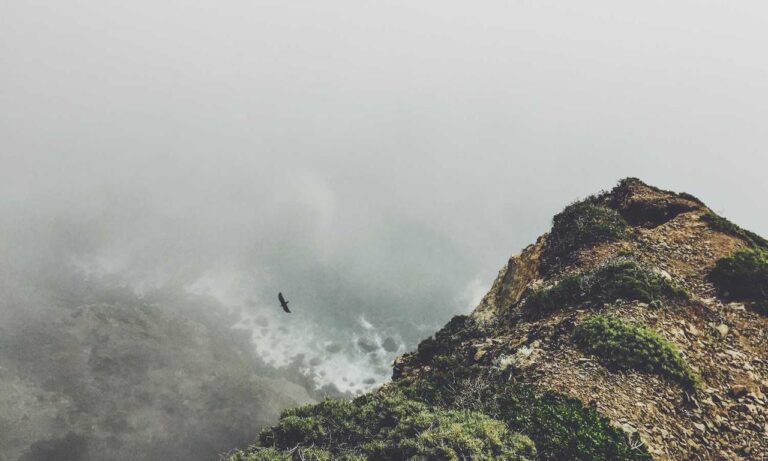 tgagamestick controller