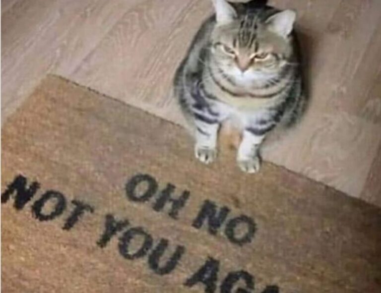 tgagamestick special settings by thegamearchives