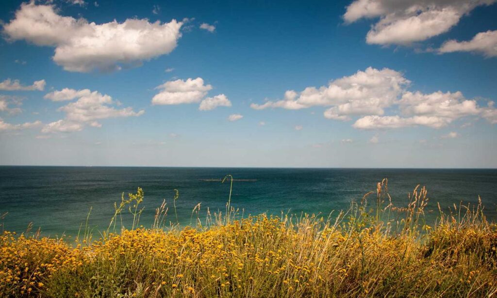 tgarchirvetech news thegamingarchives