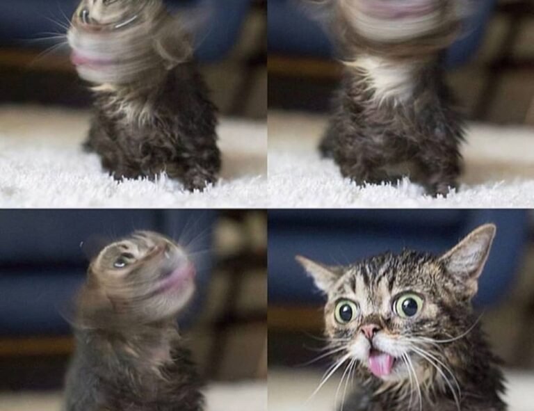 the online gaming event pblgamevent