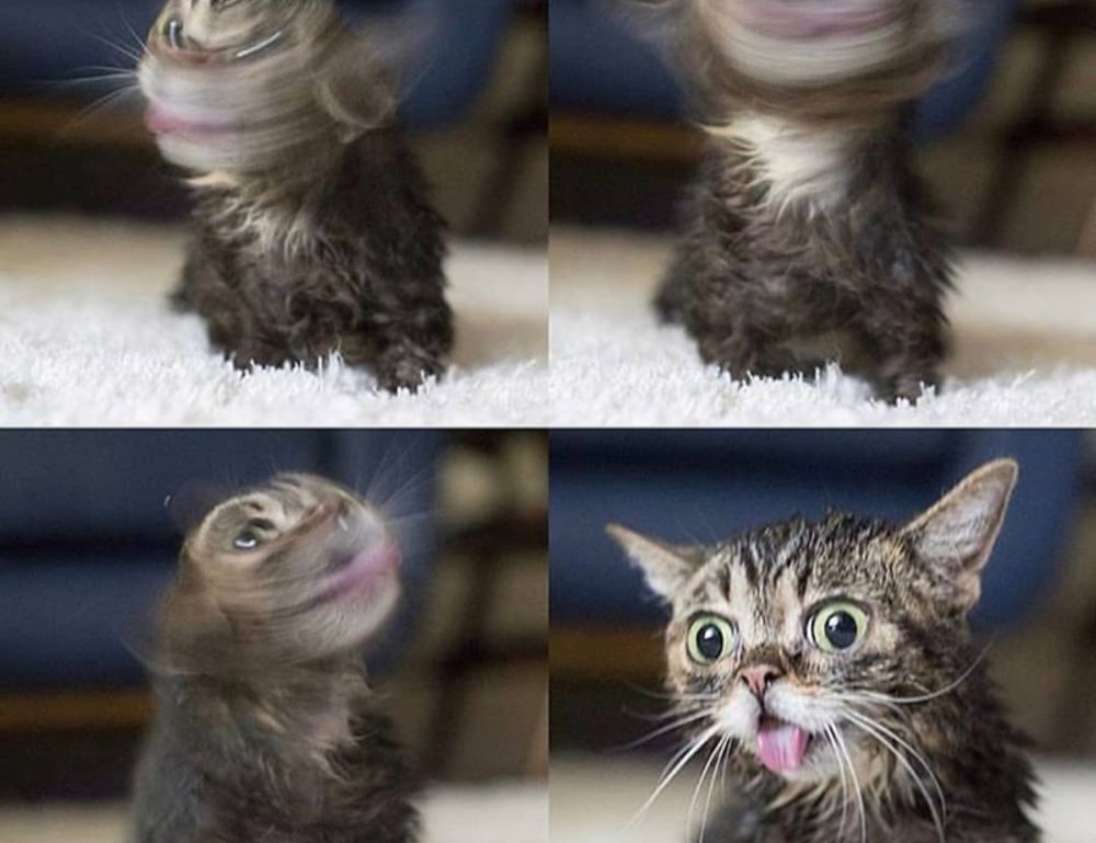 the online gaming event pblgamevent the online gaming event pblgamevent