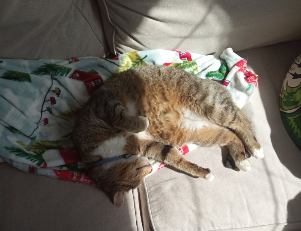 togamesticky gaming guide by thinkofgamers