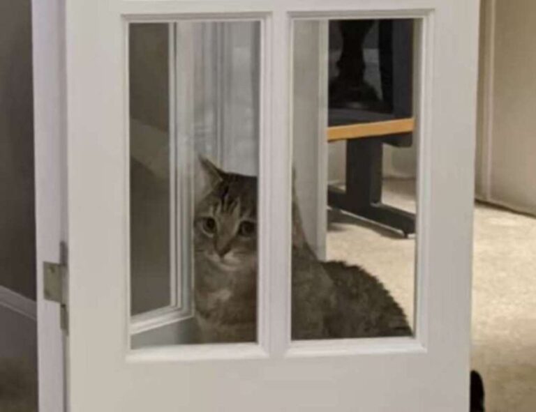 togamesticky gaming guide by thinkofgamers