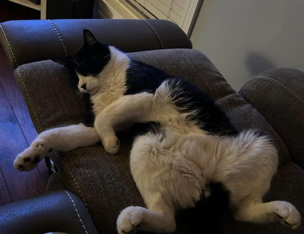 togamesticky gaming guide by thinkofgamers togamesticky gaming guide by thinkofgamers