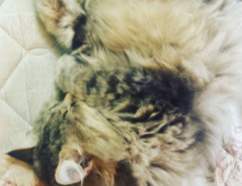 togamesticky gaming hacks from thinkofgamers