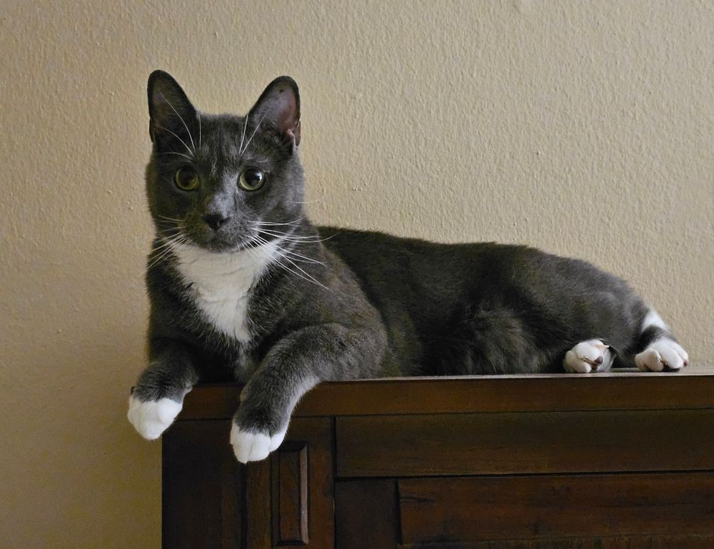 togamesticky gaming hacks from thinkofgamers