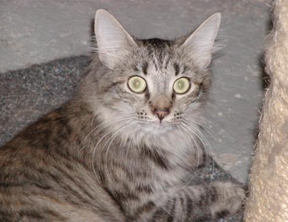 togamesticky gaming hacks from thinkofgamers togamesticky gaming hacks from thinkofgamers