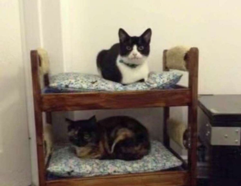 togamesticky new gamestick from thinkofgamers