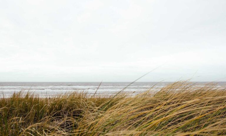 togplayering gameplay advice from thinkofgamers