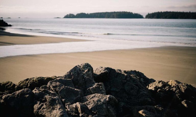 togplayering gameplay guide by thinkofgamers