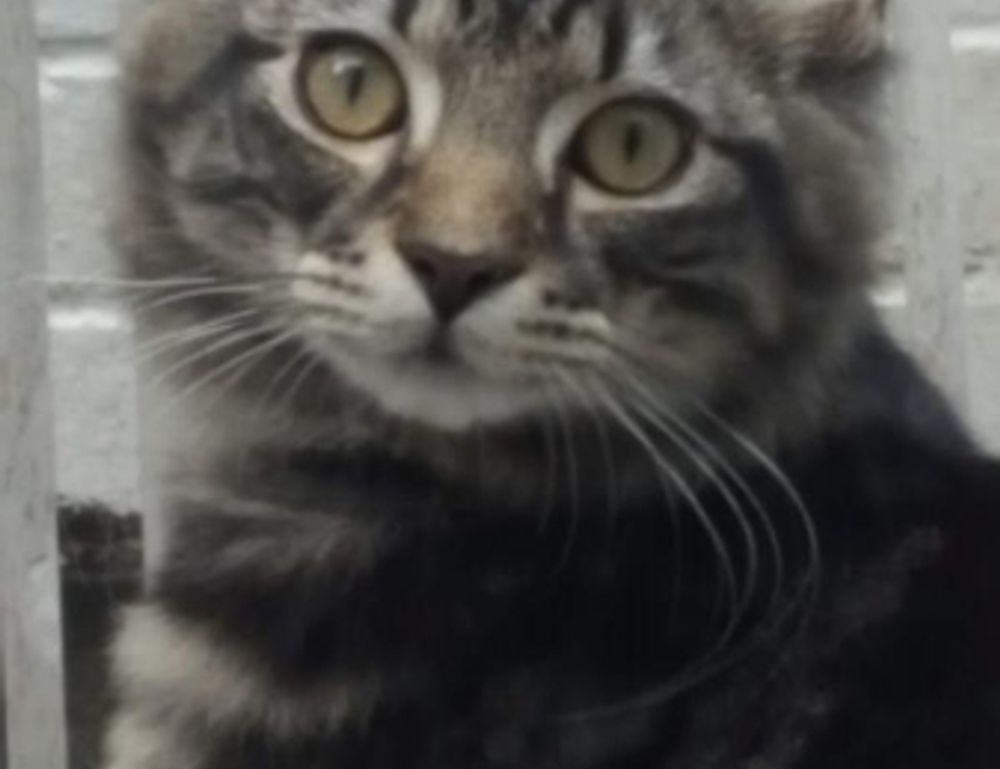 top upgrades jogamesole