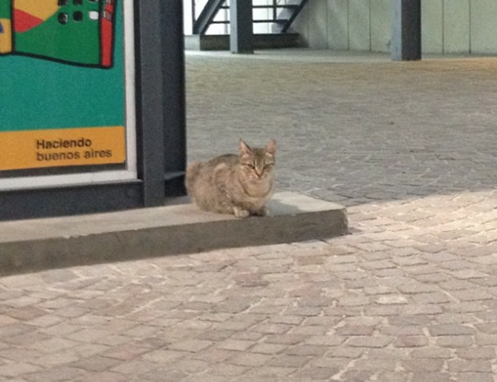 tportgametek gaming updates by theportablegamer tportgametek gaming updates by theportablegamer