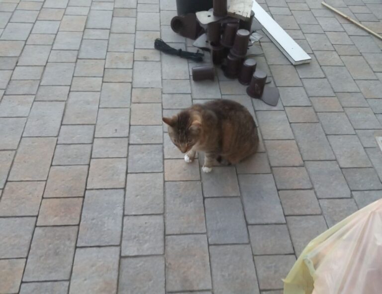 tutorials undergarcade