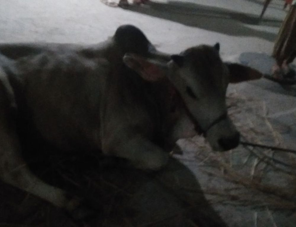 undergarcade multiplayer