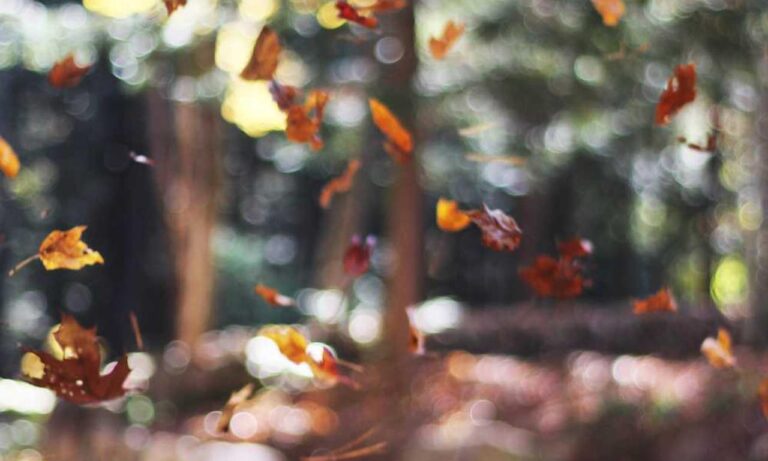 undergarcade tutorial guide by undergrowthgames