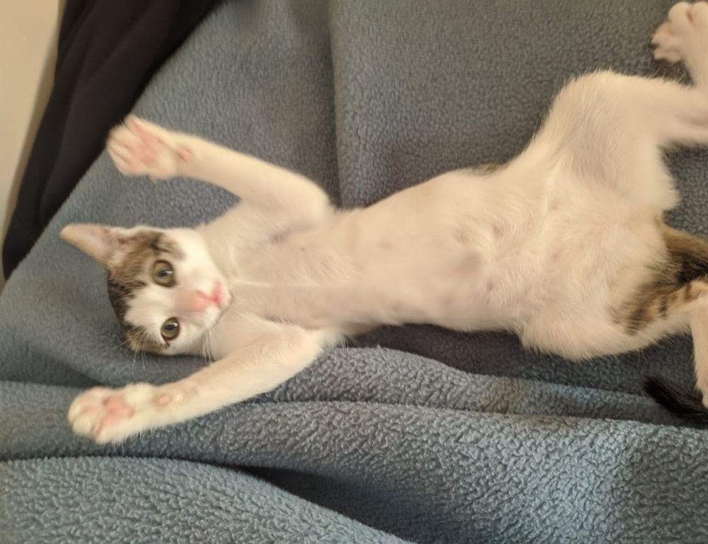 video game console togamesticky