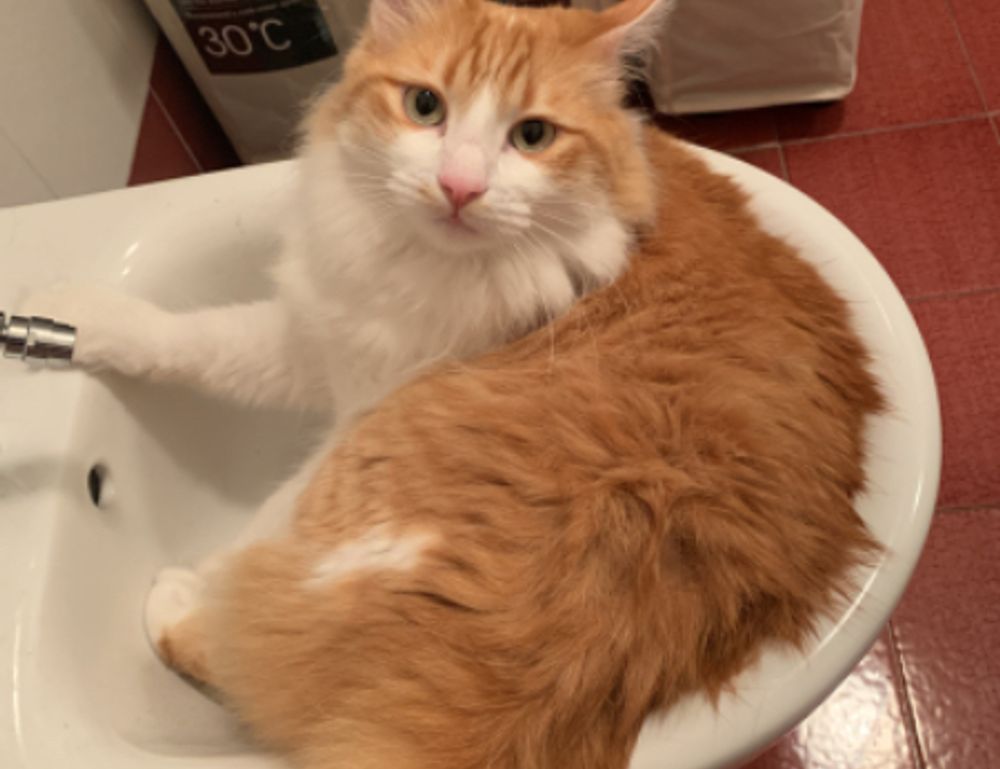 video games jogamesole video games jogamesole