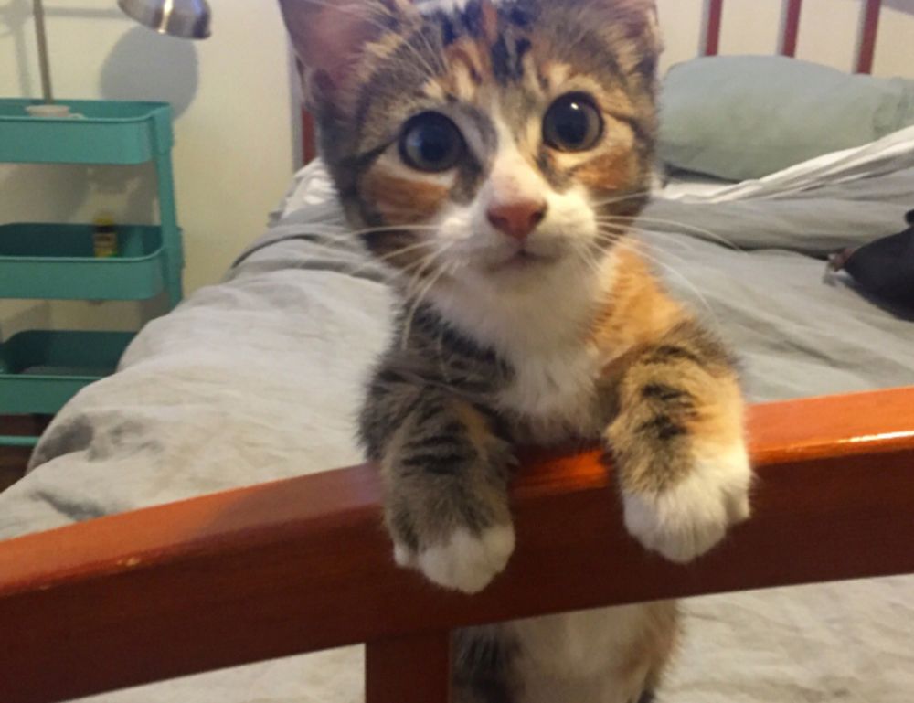 video games togamesticky video games togamesticky