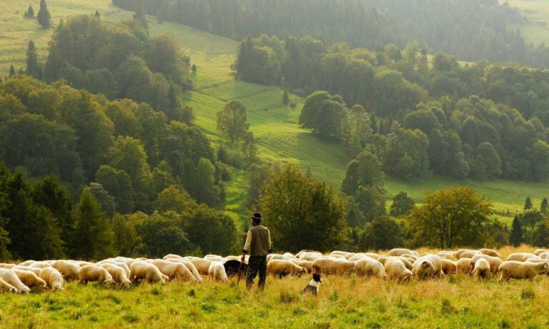 video games togamesticky