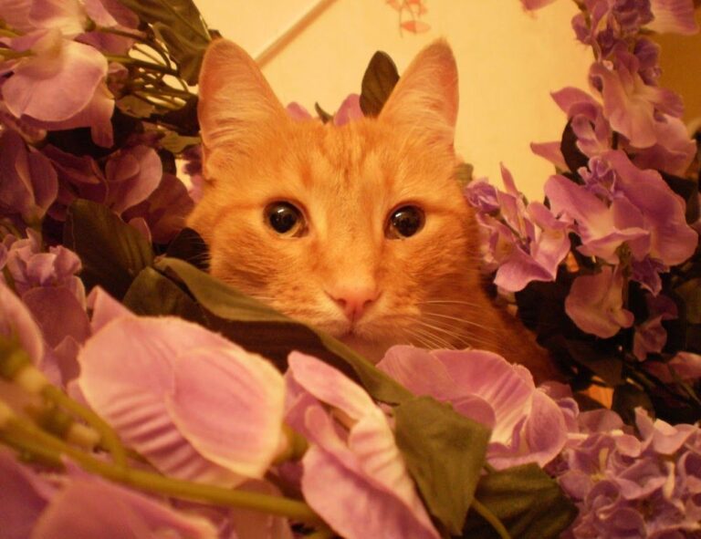 video games togamesticky