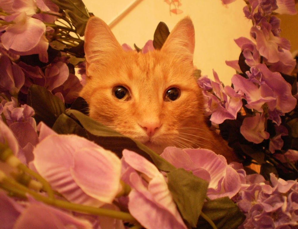 video games togamesticky video games togamesticky