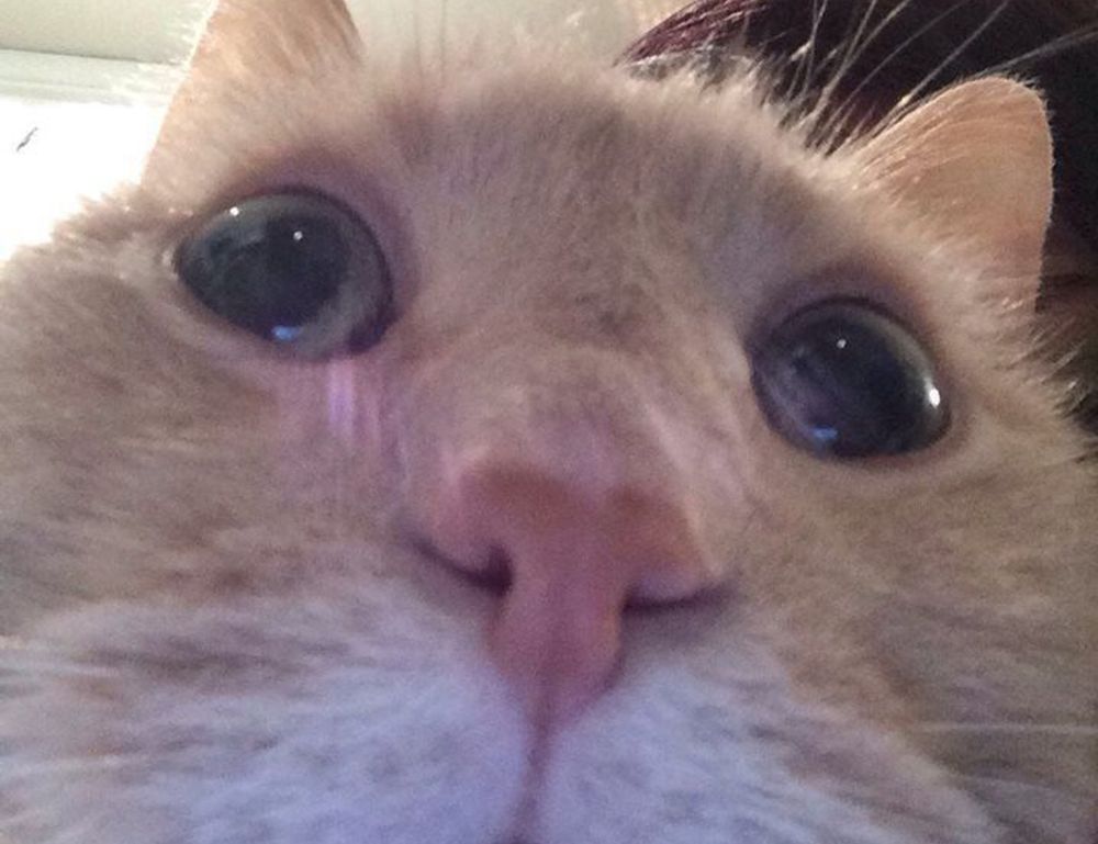 what are the best gaming upgrades scookiegear what are the best gaming upgrades scookiegear