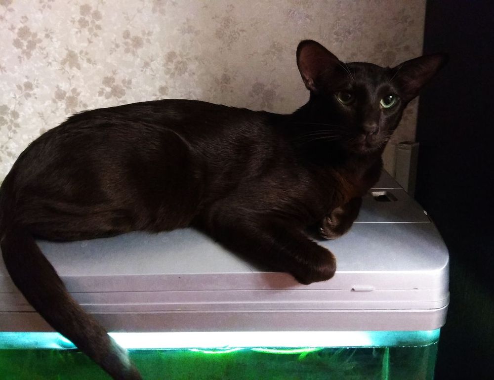 what games can you hack togamesticky