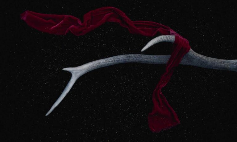 what gaming mouse to buy gmrrmulator