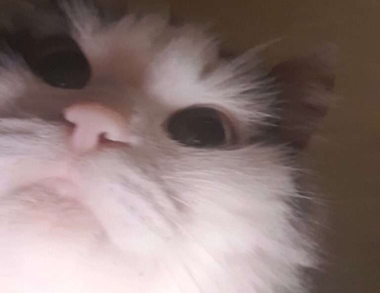 when should i upgrade my gaming pc jogameplayer