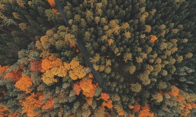 where to find togamesticky