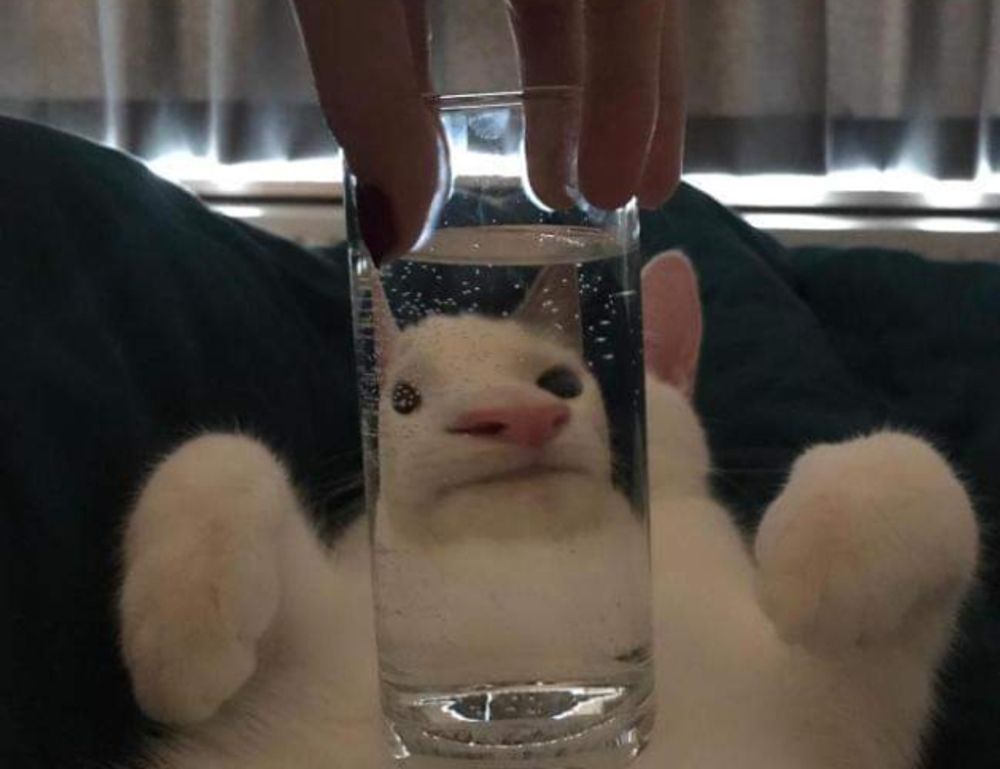 which game engine should i use tportgametek