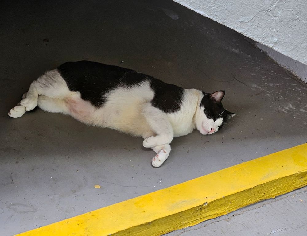 which online game has the most players tportvent which online game has the most players tportvent