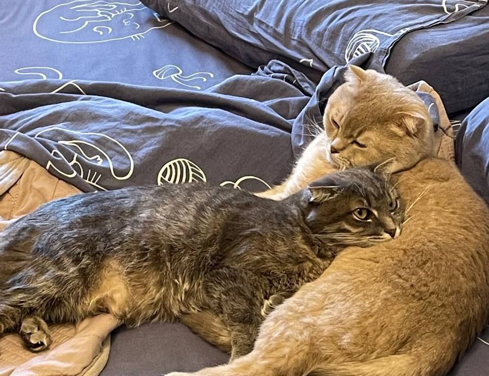 why are tutorials important bfnctutorials why are tutorials important bfnctutorials