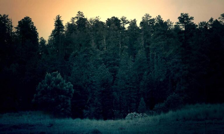 why do hackers hack in games togamesticky