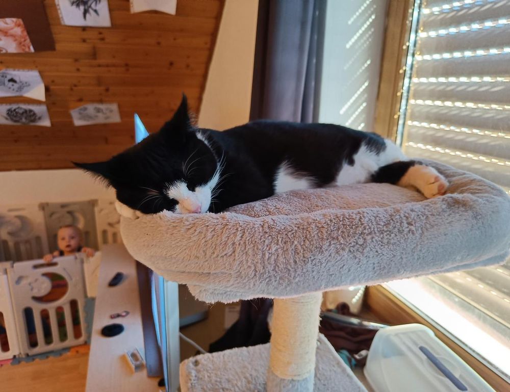 why do hackers hack in games togamesticky