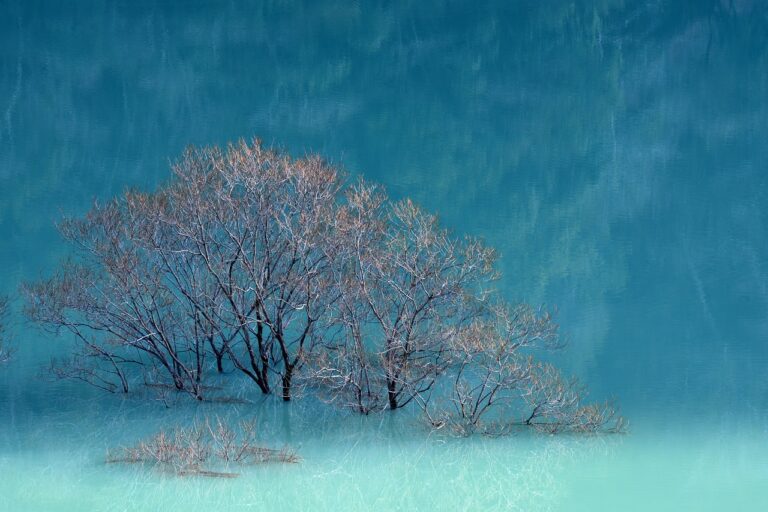 why gaming is fun bfnctutorials