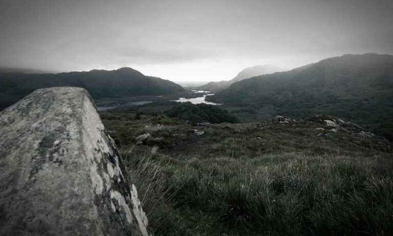 why gaming is healthy gmrrmulator