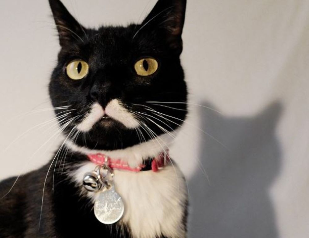 why video games are educational togplayering why video games are educational togplayering