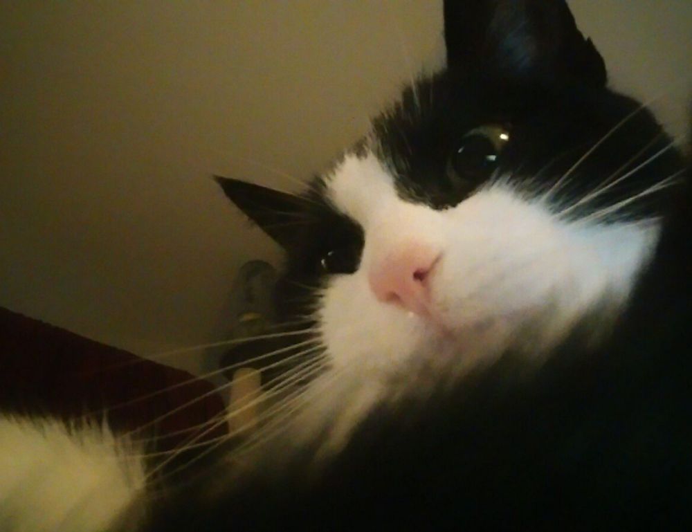 why video games are important togplayering why video games are important togplayering