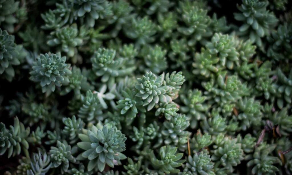 gaming world digitalrgsorg