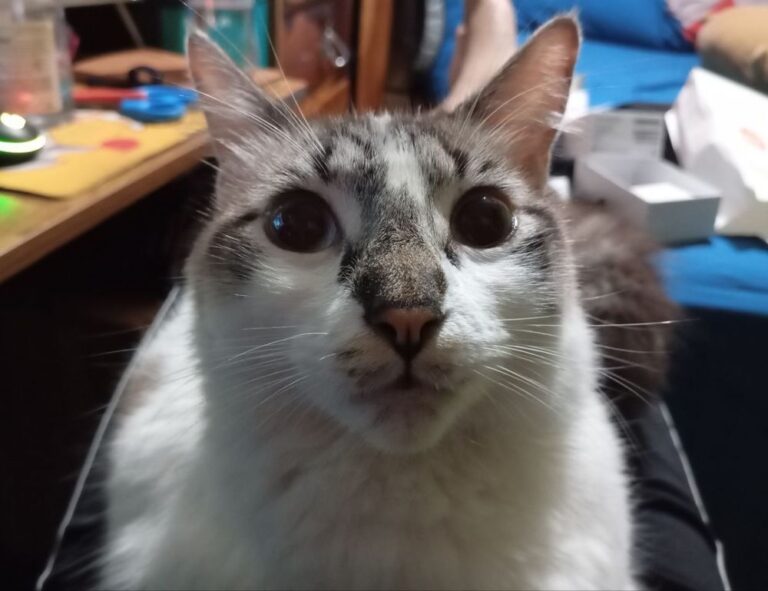 tech articles digitalrgsorg