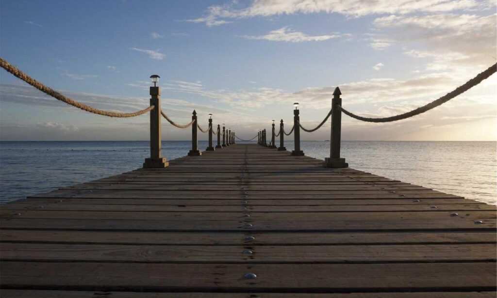 tech digitalrgsorg tech digitalrgsorg