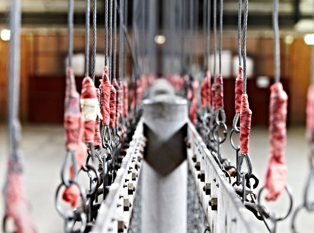 Playonit55 Playonit55