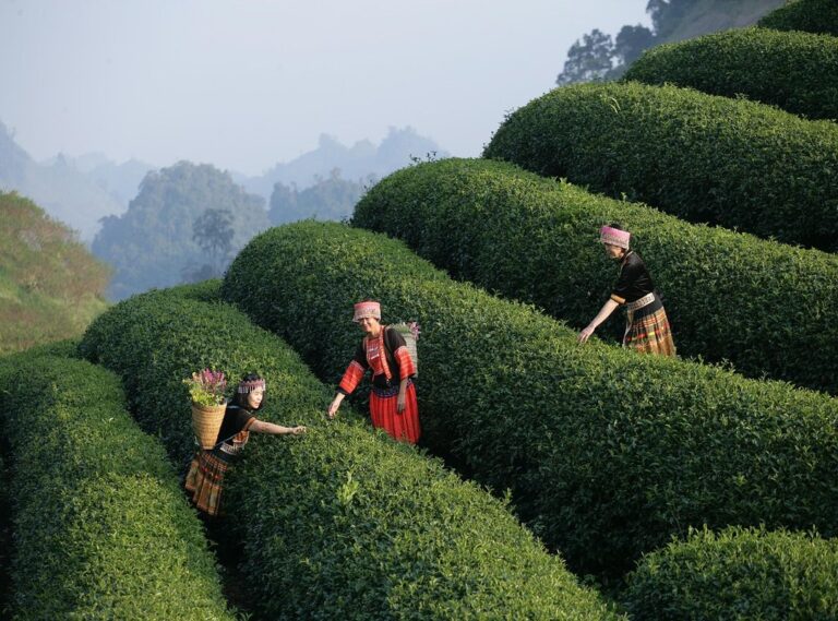 Togamesticky New Gamestick From Thinkofgamers