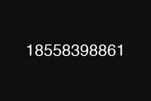 18558398861